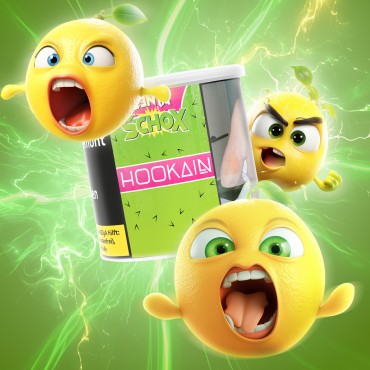 HOOKAIN - Zenta Schox - 200g (27,90€)