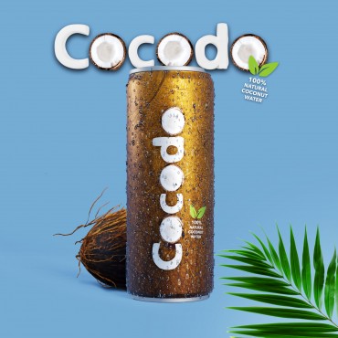Cocodo - 100% Natürliches Kokosnusswasser - 250 ml