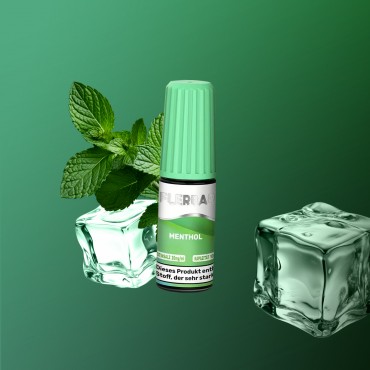 Flerbar - E-Liquid - Nikotinsalz - Menthol - 10 ml - 20 mg Flerbar - E-Liquid - Nikotinsalz - Menthol - 10 ml - 20 mg